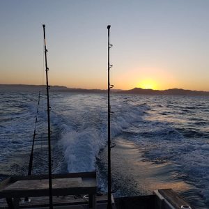Mokau Fishing
