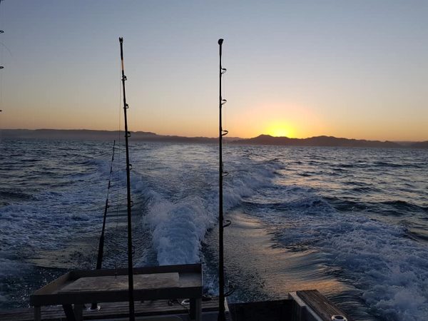 Mokau Fishing